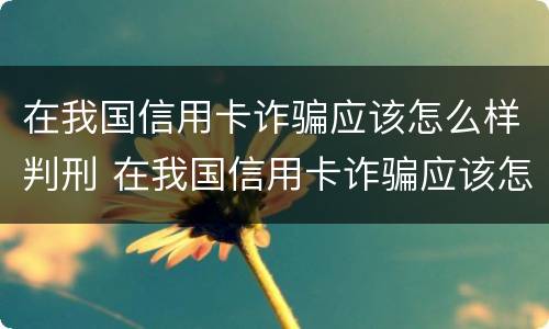 在我国信用卡诈骗应该怎么样判刑 在我国信用卡诈骗应该怎么样判刑呢