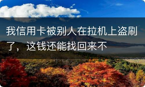 我信用卡被别人在拉机上盗刷了，这钱还能找回来不