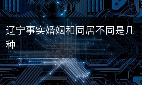 辽宁事实婚姻和同居不同是几种