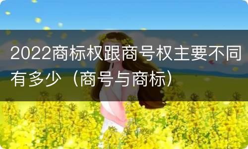 2022商标权跟商号权主要不同有多少（商号与商标）