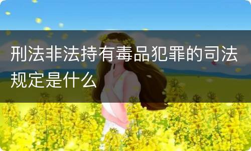 刑法非法持有毒品犯罪的司法规定是什么