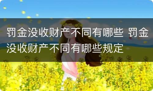 罚金没收财产不同有哪些 罚金没收财产不同有哪些规定