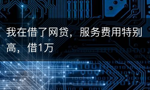 我在借了网贷，服务费用特别高，借1万