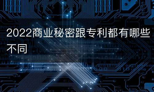 2022商业秘密跟专利都有哪些不同
