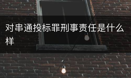 对串通投标罪刑事责任是什么样