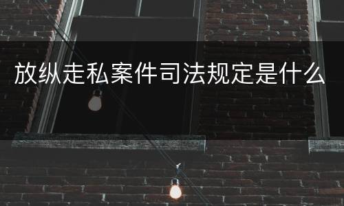 放纵走私案件司法规定是什么