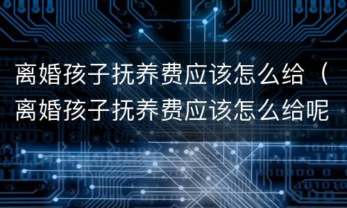 离婚孩子抚养费应该怎么给（离婚孩子抚养费应该怎么给呢）