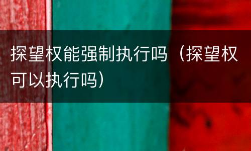 探望权能强制执行吗（探望权可以执行吗）
