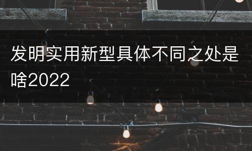 发明实用新型具体不同之处是啥2022