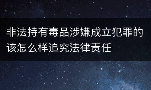 非法持有毒品涉嫌成立犯罪的该怎么样追究法律责任