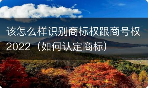 该怎么样识别商标权跟商号权2022（如何认定商标）