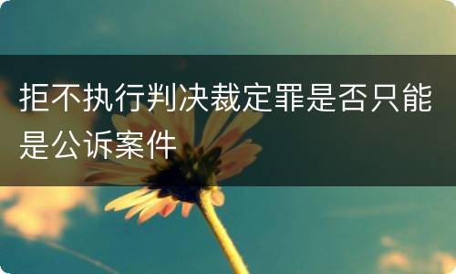 拒不执行判决裁定罪是否只能是公诉案件