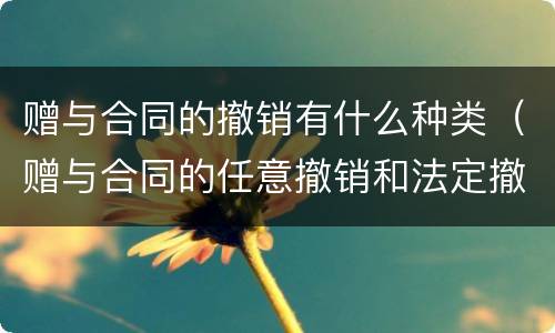 赠与合同的撤销有什么种类（赠与合同的任意撤销和法定撤销的区别）