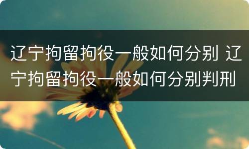 辽宁拘留拘役一般如何分别 辽宁拘留拘役一般如何分别判刑