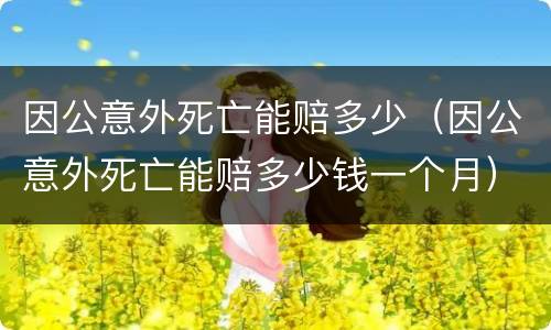 因公意外死亡能赔多少(因公意外死亡能赔多少钱一个月)