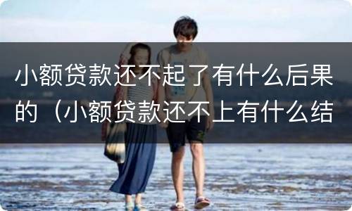 小额贷款还不起了有什么后果的（小额贷款还不上有什么结果）