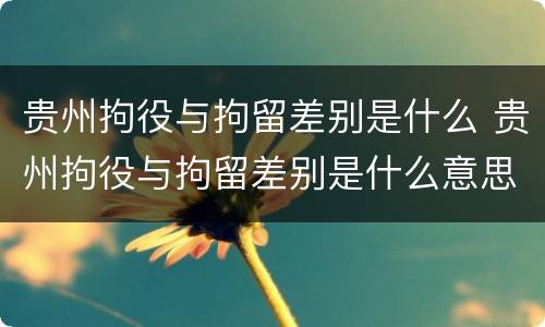 贵州拘役与拘留差别是什么 贵州拘役与拘留差别是什么意思
