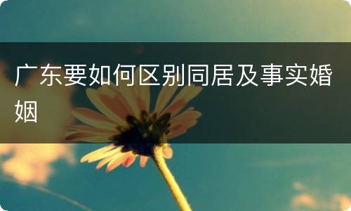 广东要如何区别同居及事实婚姻