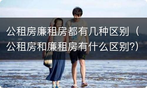 公租房廉租房都有几种区别（公租房和廉租房有什么区别?）