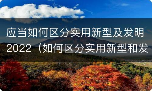 应当如何区分实用新型及发明2022（如何区分实用新型和发明专利）
