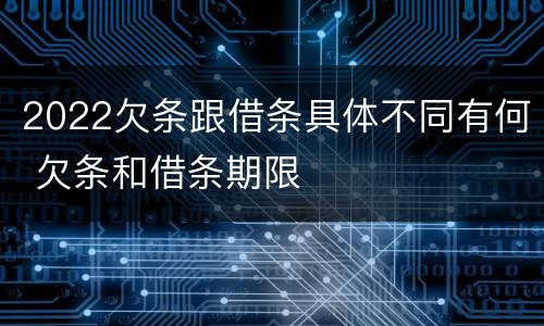 2022欠条跟借条具体不同有何 欠条和借条期限