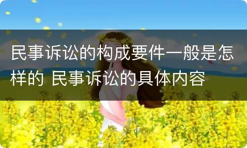 民事诉讼的构成要件一般是怎样的 民事诉讼的具体内容