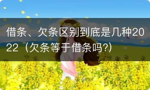 借条、欠条区别到底是几种2022（欠条等于借条吗?）