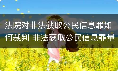 法院对非法获取公民信息罪如何裁判 非法获取公民信息罪量刑