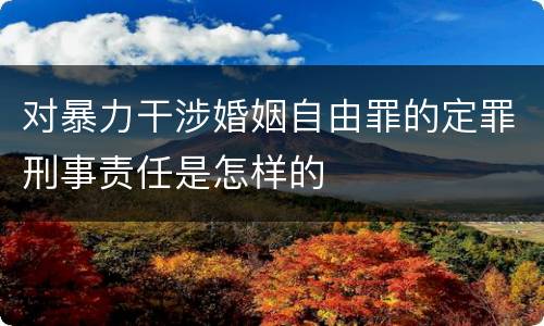 对暴力干涉婚姻自由罪的定罪刑事责任是怎样的
