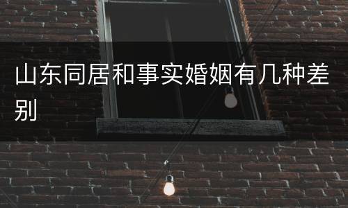 山东同居和事实婚姻有几种差别