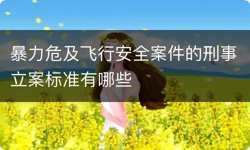 暴力危及飞行安全案件的刑事立案标准有哪些