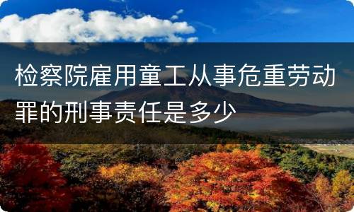检察院雇用童工从事危重劳动罪的刑事责任是多少