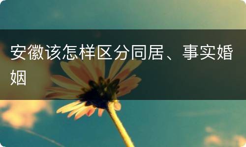 安徽该怎样区分同居、事实婚姻