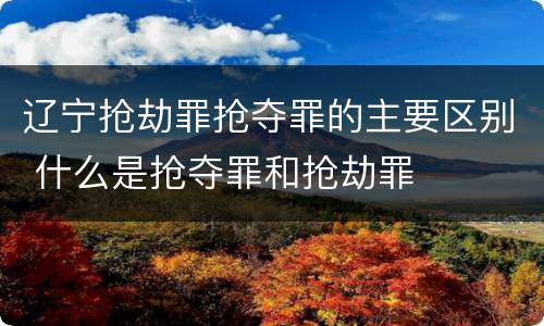 辽宁抢劫罪抢夺罪的主要区别 什么是抢夺罪和抢劫罪