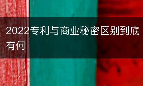 2022专利与商业秘密区别到底有何