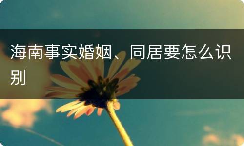 海南事实婚姻、同居要怎么识别