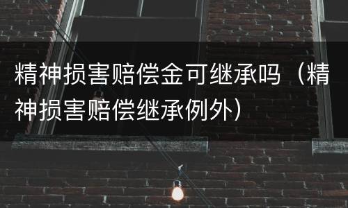 精神损害赔偿金可继承吗（精神损害赔偿继承例外）