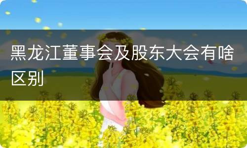 黑龙江董事会及股东大会有啥区别