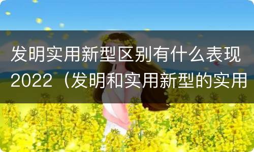 发明实用新型区别有什么表现2022（发明和实用新型的实用性包括）