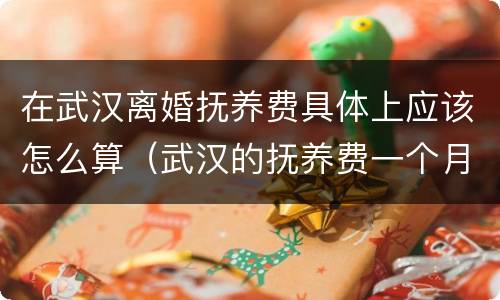 在武汉离婚抚养费具体上应该怎么算（武汉的抚养费一个月多少钱）