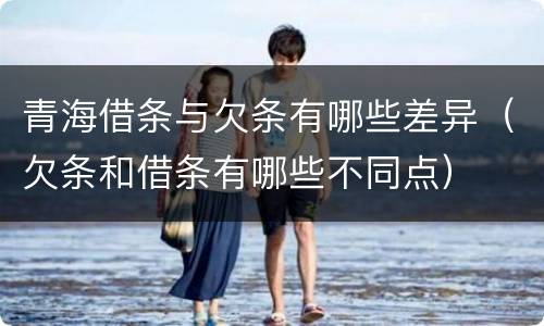 青海借条与欠条有哪些差异（欠条和借条有哪些不同点）