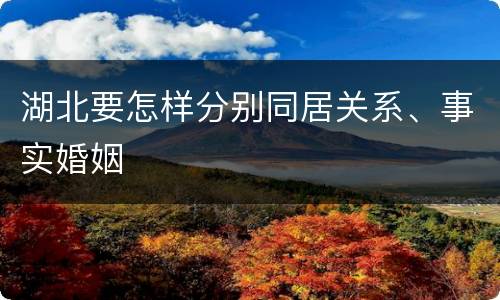 湖北要怎样分别同居关系、事实婚姻