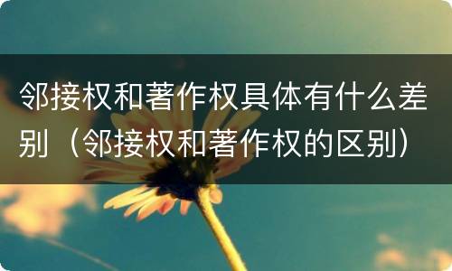 邻接权和著作权具体有什么差别（邻接权和著作权的区别）