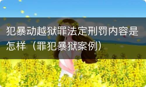 犯暴动越狱罪法定刑罚内容是怎样（罪犯暴狱案例）