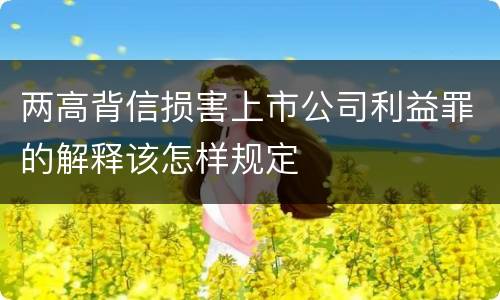 两高背信损害上市公司利益罪的解释该怎样规定