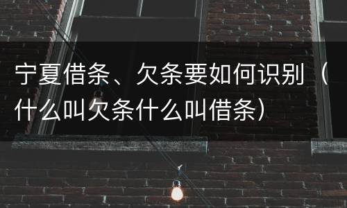 宁夏借条、欠条要如何识别（什么叫欠条什么叫借条）