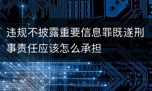 违规不披露重要信息罪既遂刑事责任应该怎么承担