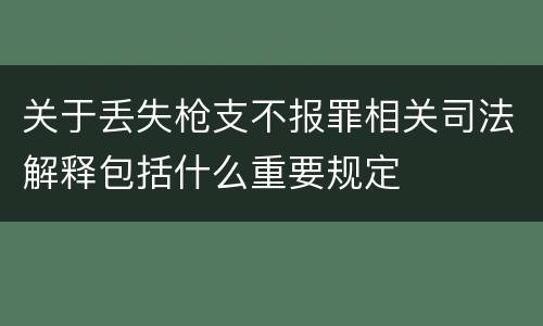 关于丢失枪支不报罪相关司法解释包括什么重要规定