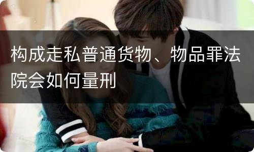 构成走私普通货物、物品罪法院会如何量刑