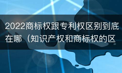 2022商标权跟专利权区别到底在哪（知识产权和商标权的区别）
